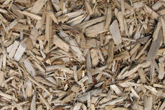 biomass boilers Twist