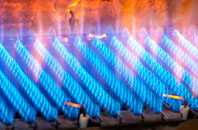 Twist gas fired boilers